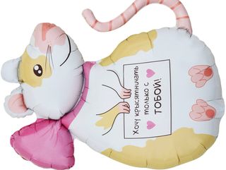 Шары с гелием #321