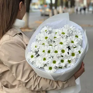 Buchet din romanita alba