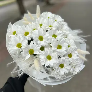 Buchet din Romanită Albă cu Flori Uscate