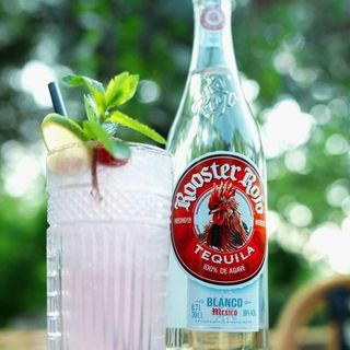 Rooster Rojo Blanco