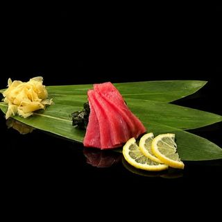 Sashimi Maguro