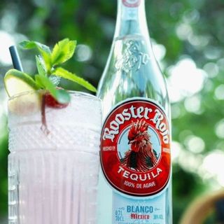 Rooster Rojo Blanco