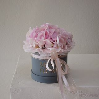 Hortensie roz în cutie gri