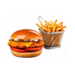 Gistro Chicken Burger + Fries