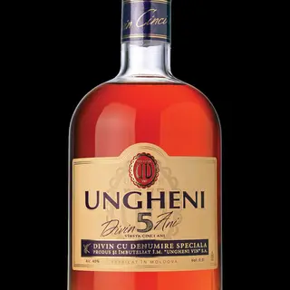 Divin Ungheni