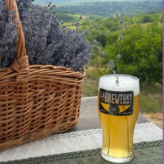 ZEN Lavender Belgian Saison