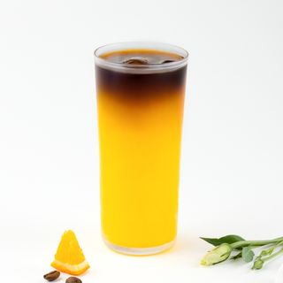 Bumblebee Orange