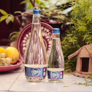 Dorna carbogazoasă / plată 330ml