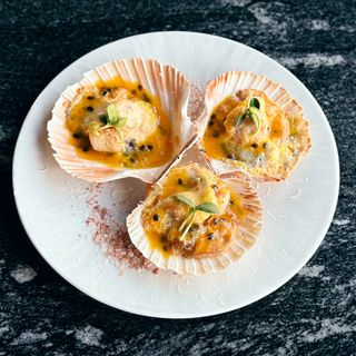 Scoici în stil florentin