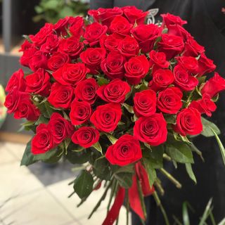 51 trandafiri rosii (50-60 cm)