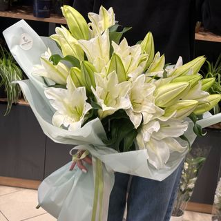 5 crengute de crin alb olandez