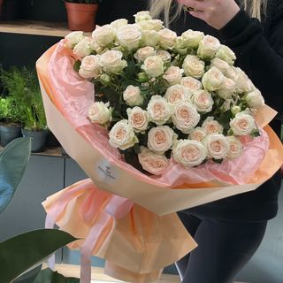 19 crengute de trandafiri crem