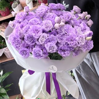 25 eustome lavanda
