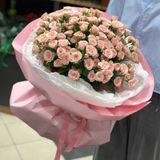 29 crengute de trandafir Lidia