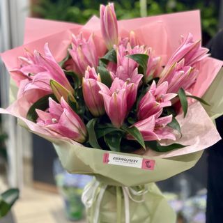 5 crengute de crin roz olandez