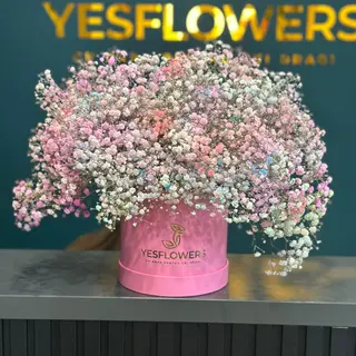Cutie cu gipsophola color