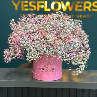 Cutie cu gipsophola color