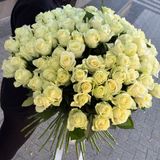 101 trandafiri albi (50-60 cm)