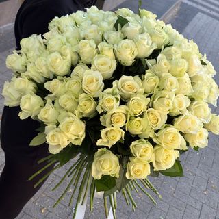 101 trandafiri albi (60-70 cm)