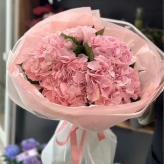 5 hortensii roz
