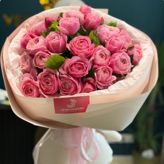 11 trandafiri Silva Pink