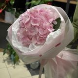 1 Hortensie roz in ambalaj