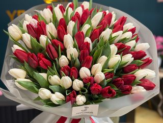 101 lalele alb-rosii