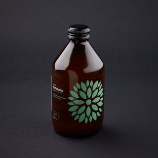 Cucumber Coriander Kombucha