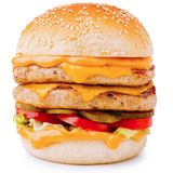 Chicken Cheese Burger x2