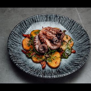 Caracatița de Ocean