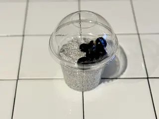 Chia pudding