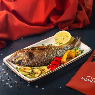 Dorado 