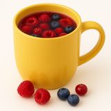 Ceai Fructe de padure