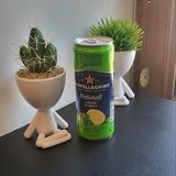 SANPELLEGRINO 0.33 L Limone&Menta