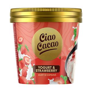 Iaurt și căpșună 300g