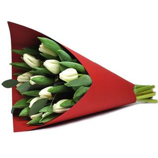 11 lalele albe in carton rosu