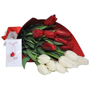 11 lalele alb cu rosu (mărțișor) in carton rosu