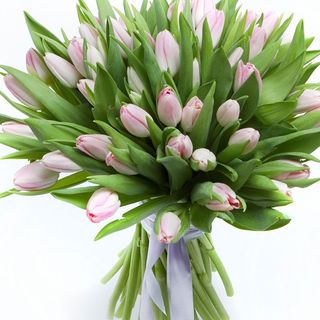 Buchet victoria. Art 1045