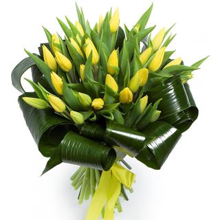 The secret of Aphrodite . Art 1043