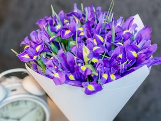 Buchet din 25 iriși BlueMagic