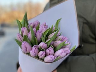 Buchet din Lalele Lila (21)