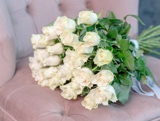 17 Trandafiri Albi 50-60 cm