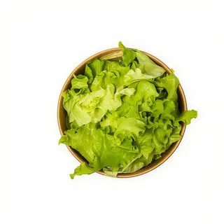 Zelena salata