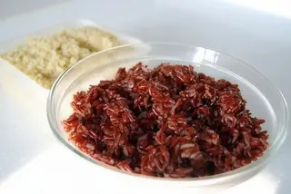 Crvena riža