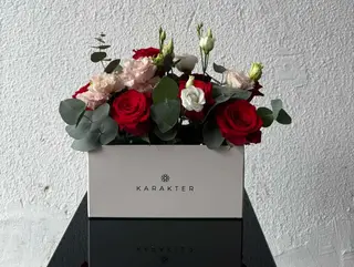 Box aranẓ̌man 11
