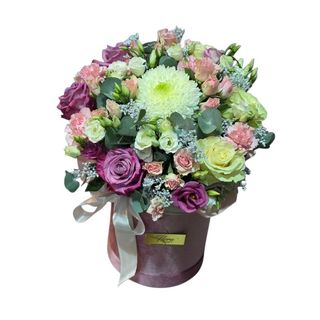 Veliki mix box ...Mona