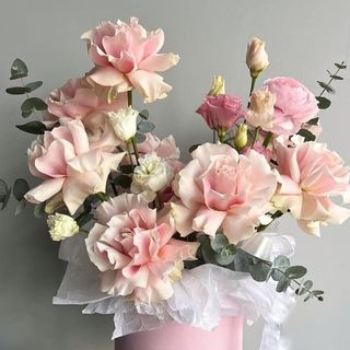 B_007 boks francuske ruže