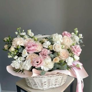 B_008 Korpa nježnost