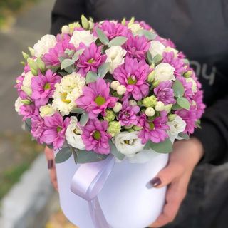 B_003 boks hrizanteme i eustoma