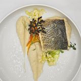 Adriatic Sea Bass